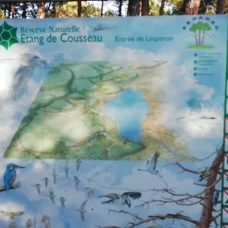 Διαμέρισμα Bel A 100 M De La