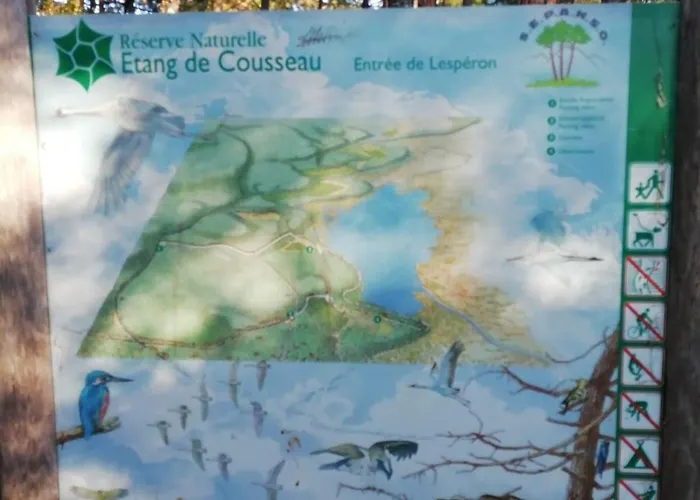 Apartamento Bel A 100 M De La